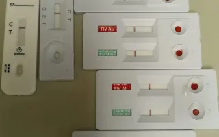 Zachraňujte kočičí životy s námi