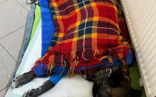 Podejme Radeše pomocnou ruku pro Mišunky boj s nemocí