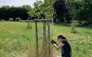 Pomozte stromům růst