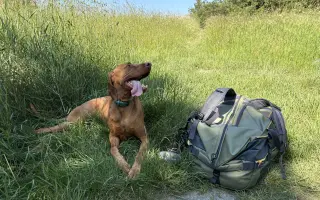 Pomozte nám zachránit Charlieho