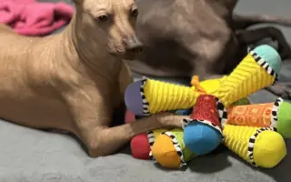 Pomoc pro Nyu - naši bojovnici ❤️