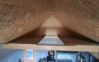 Postavme společně útulek pro kočky a psy