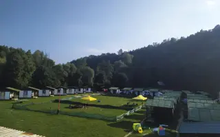 Zachraňme Herolky - Místo, kde psi a lidé nacházejí společnou cestu