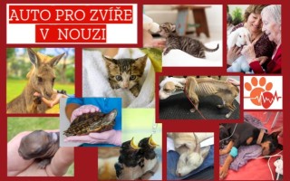 Zachráněná zvířátka autem mezi babičky, dědečky a nemocné děti