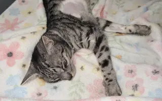 Pomozte mi zachránit Nalku