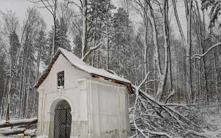 Sbírka na opravu kaple u zázračné studánky na Křemešníku po pádu stromu