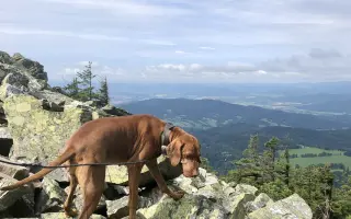 Ať může Hany zase běhat