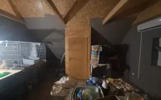 Postavme společně útulek pro kočky a psy