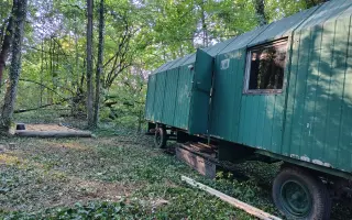 Pomozte nám vytvořit místo pro dětství Mezi stromy
