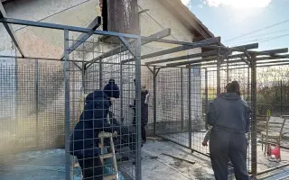 🐾 Plná miska, šťastné srdce – Pomoc pro pejsky 2026 🐾