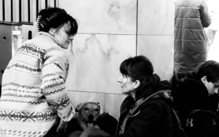 Pomoc psům a kočkám na Ukrajině