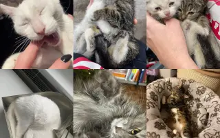 Podpořte bylinkový projekt Azeret Herbs