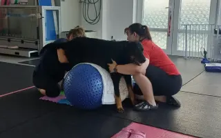 Mladou fenku srazil vlak, pomožme jí k pohybu rehabilitací.