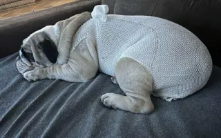 Pomoc pro Kuky a Kony