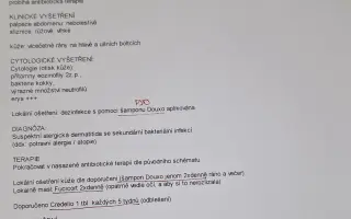 9 nalezených Lásek