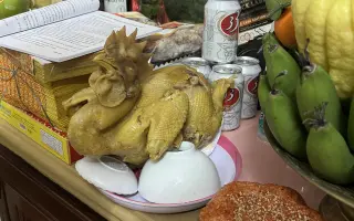 Objevte, co všechno se může stát na cestách – kniha Cestuj s Veru