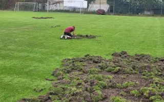 Oplocení fotbalového hřiště proti divokým prasatům