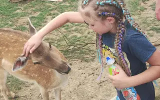 Pomozte mamince samoživitelce zajistit domov pro čtyři děti