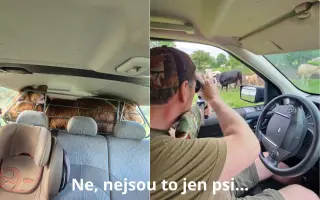 BADY: Bazén pro jelena