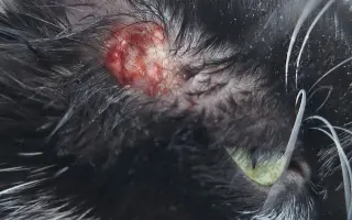 9 nalezených Lásek