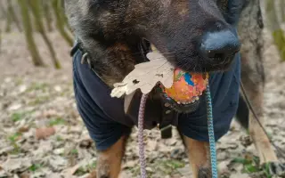 Léčba, která nekončí - Fůrie