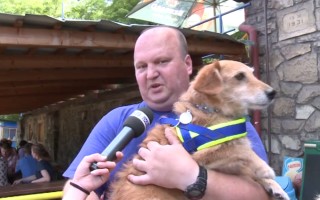 Canisterapie CANTES v krajích ČR jako sociální rehabilitace