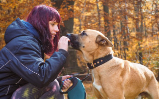 Pomozte rozšířit psí depozitum Litvínov