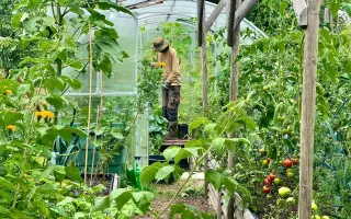 „Kniha, která promění vaši zahradu v místo plné přírody, života a zdravé půdy.“