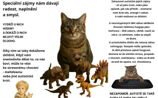 Podpořte vydání knihy Mami, kočky a autisty nepředěláš