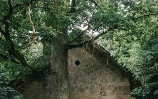 Plášilova nová střecha. Neprozradit!