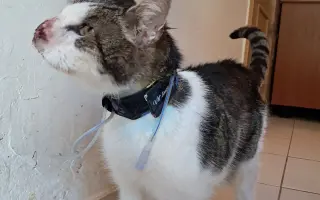 Filípek chce žít: pomoz mu porazit nádor