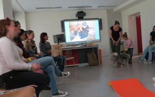 Canisterapie CANTES v krajích ČR jako sociální rehabilitace