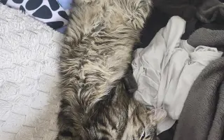 Rufinko ❤️