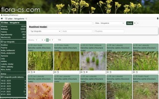 Podpořte databanku přírodních rostlin ČR a Slovenska!