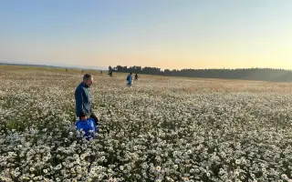Dron s termovizí na záchranu srnčat při sečích na Chebsku.