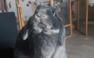 Pomozme Moonie zvládnout léčbu