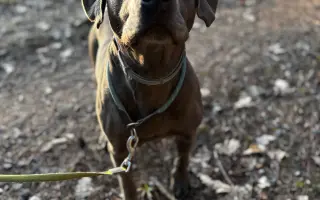 🥾 154 KM ZA TY, KTEŘÍ UŽ NEMŮŽOU 🐾