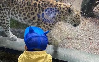 Bezpečné cestování pro našeho Matiaska