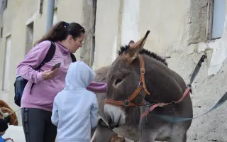 My zachraňujeme zvířata, ony mohou pomáhat Vám a Vašim blízkým