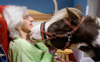 Casperovi, pony terapeutovi, na nový výběh