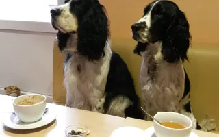 Pomozte nám vrátit vůni kávy do Maňány!