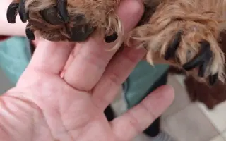 🚨 Potřebujeme vaši pomoc více než kdykoliv dříve! 🚨