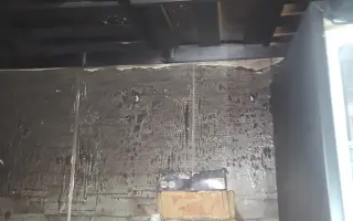 Prosba o pomoc samoživitelce po požáru našeho domova