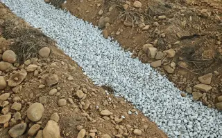 Pomozte nám postavit útočiště pro psy z ulice