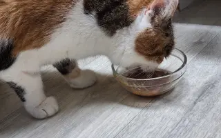 9 nalezených Lásek