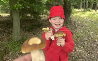 Pomozte Artíkovi zvládat každý den