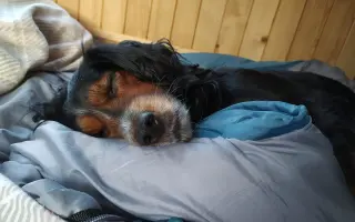 Shamy bouje s bolestí. Pomozme jí prožít stáří důstojně