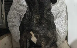 Pomozme Calvinovi zpět na nožičky