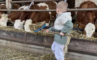 Pomozme Kristýně postavit se znovu na nohy. Lásky mají dost, financí málo.