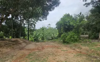 Pomozte kmeni huni kuin postavit se na vlastní nohy